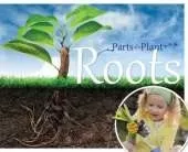 Roots