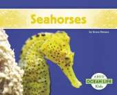 Seahorses