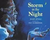 Storm in the Night