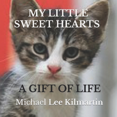 My Little Sweethearts Adventures: Volume One