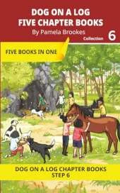 Five Chapter Books 6: Decodable Series for Students Learning to Read. For Developing Readers and Students with Dyslexia. (Step 6-Exception words containing-ild, ind, old, olt, ost)