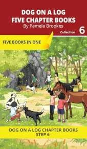 Five Chapter Books 6: Decodable Series for Students Learning to Read. For Developing Readers and Students with Dyslexia. (Step 6-Exception words containing-ild, ind, old, olt, ost)