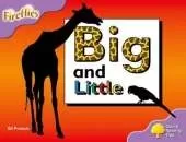 Oxford Reading Tree: Level 1+: Fireflies: Big and Little