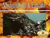 Newfoundland