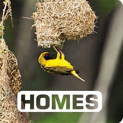 Homes: Picture This