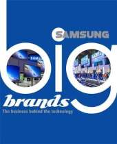Big Brands: Samsung