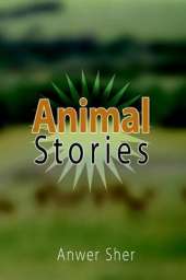 Animal Stories