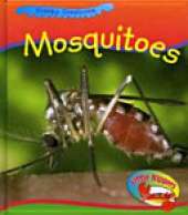 Mosquito