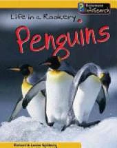 Animal Groups: Life in a Rookery of Penguins Hardback