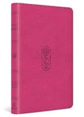 ESV Holy Bible for Kids