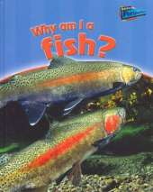 Why am I a Fish?