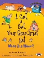 A Cat, a Bat, Your Grandma's Hat: What is a Noun?