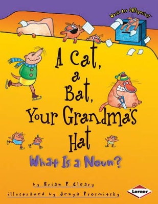 A Cat, a Bat, Your Grandma's Hat: What is a Noun?