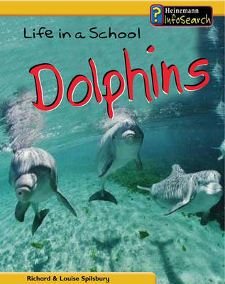 Life in a School of Dolphins