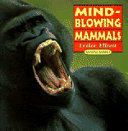 Mind-blowing Mammals: Amazing Animals
