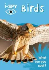 i-SPY Birds: What Can You Spot?