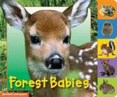 Animal Tabs: Forest Babies
