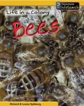 Life in a Colony of Bees
