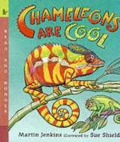 Chameleons Are Cool