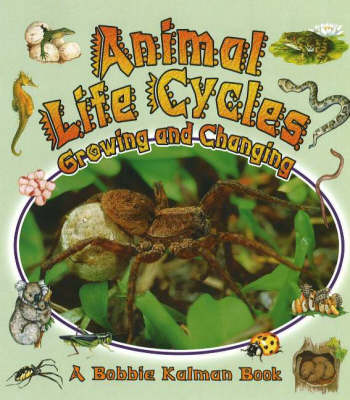 Animal Life Cycles: Growing and Changing