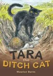 POCKET TALES YEAR 4 TARA THE DITCH CAT