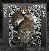 The Boogers & The Darlins