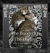 The Boogers & The Darlins