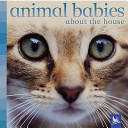 Animal Babies About the House