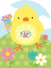 Chick