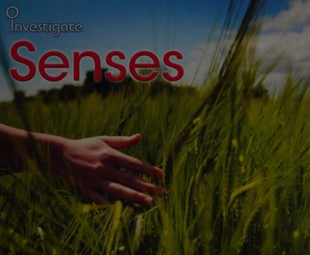Senses