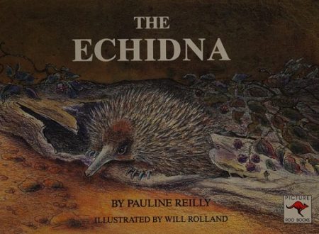 The Echidna
