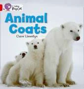 Animal Coats Workbook