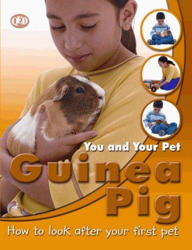 Guinea Pig