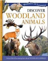 Discover Woodland Animals