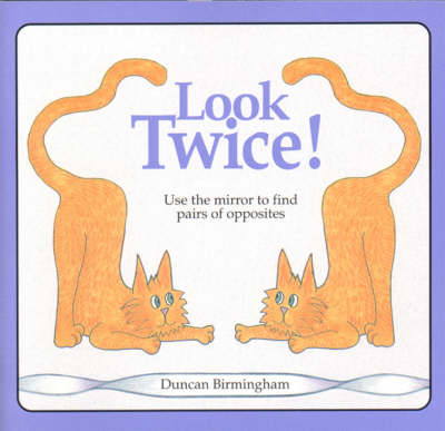 Look Twice: Use the Mirror to Find Pairs of Opposites