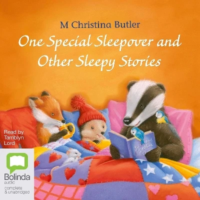 One Special Sleepover: And Other Sleepy Stories