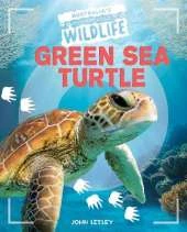 Green Sea Turtle