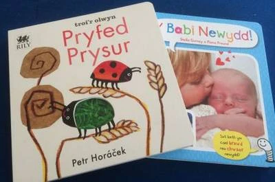 Pecyn Babi Newydd a Pryfed Prysur