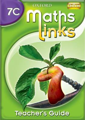 MathsLinks: 1: Y7 Teacher's Book C
