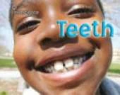 Teeth