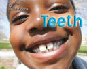 Teeth