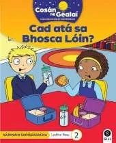 COSAN NA GEALAI Cad ata sa Bhosca Loin?: Junior Infants Fiction Reader 2