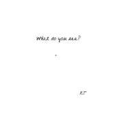 What Do You See?