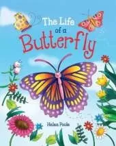 The Life of a Butterfly