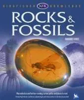 Rocks and Fossils