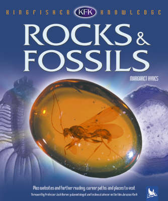 Rocks and Fossils