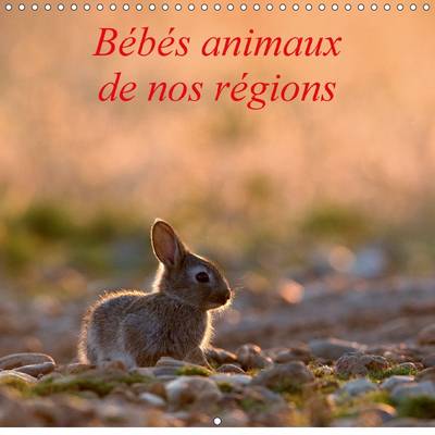 Bebes Animaux De Nos Regions 2017: L'Insouciance Des Bebes Animaux Photographies Sur Le Vif.