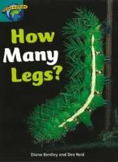 Fact World Stage 6: How Many Legs?