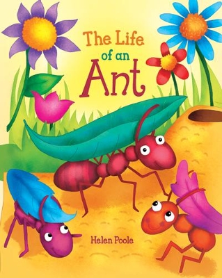The Life of Ant