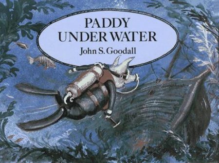 Paddy Underwater